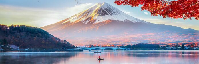 CEMS-searching-for-your-ikigai